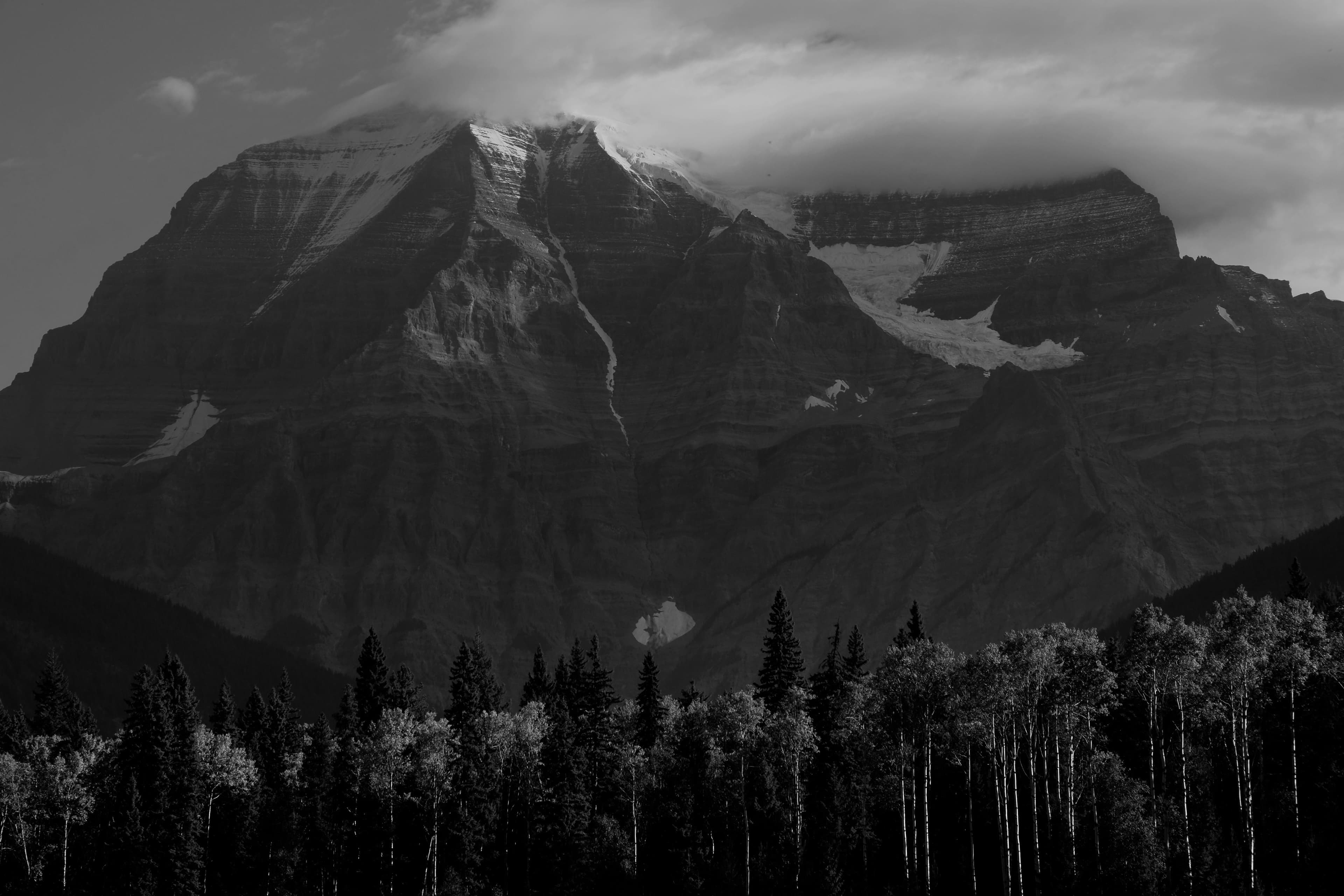 Kanada Express Entry CRS Puan Hesaplama Tablosu ve Grafiği